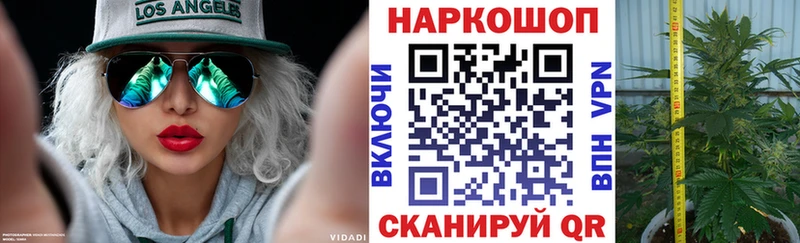 Альфа ПВП Чердынь