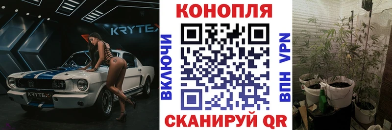 Марихуана ГИДРОПОН  площадка наркотические препараты  Чердынь 
